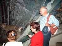 Экскурсия в музей природы Осинского Прикамья